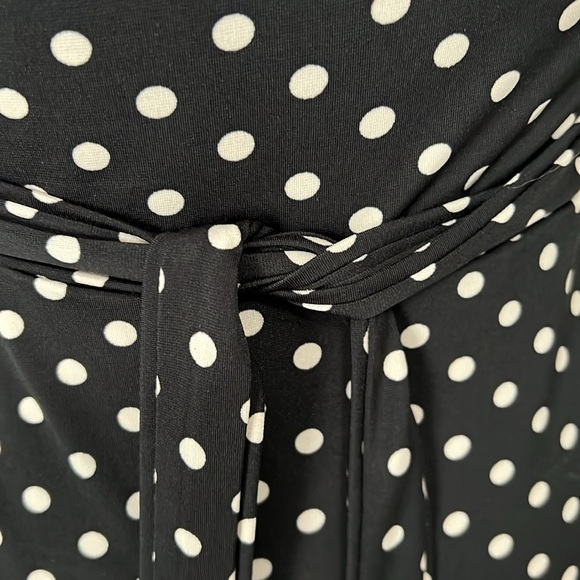 ⭐️ Ann Taylor Sleeveless Polka Dot Dress ⭐️ - Picture 5 of 7